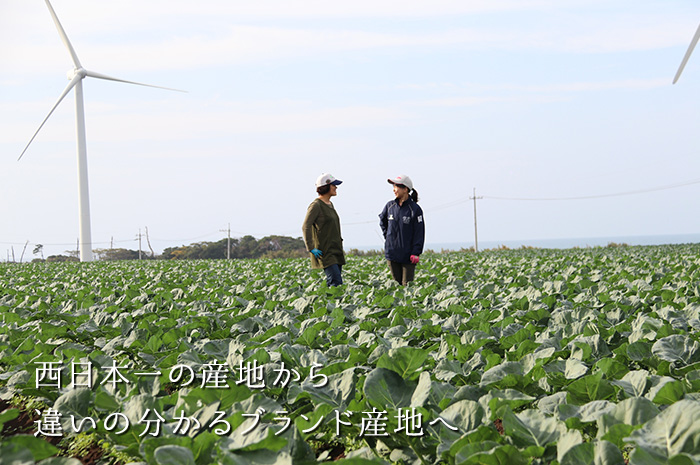 西日本一の産地から違いの分かるブランド産地へ