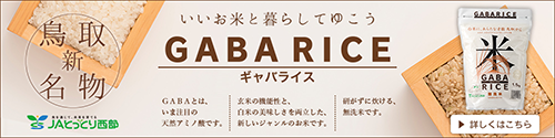 GABA RICE ギャバライス