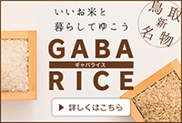 GABA RICE