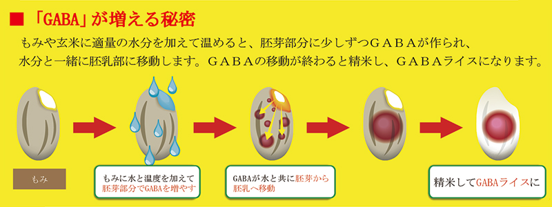 「GABA」が増える秘密