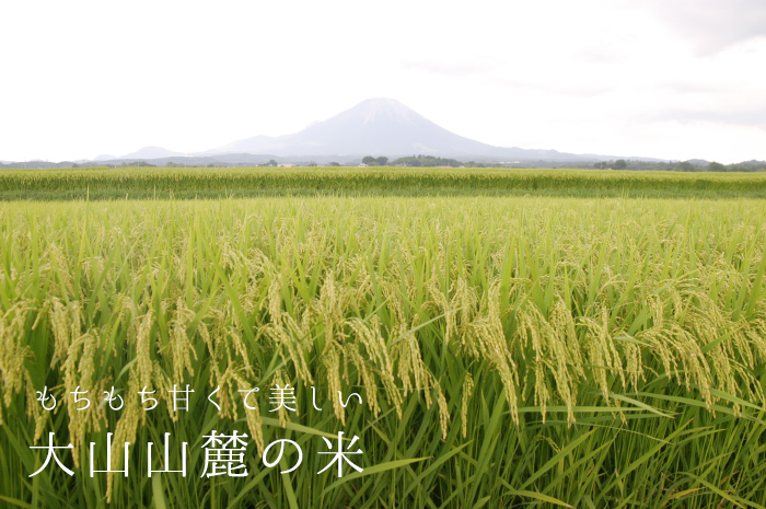 もちもち甘くて美しい　大山山麓の米