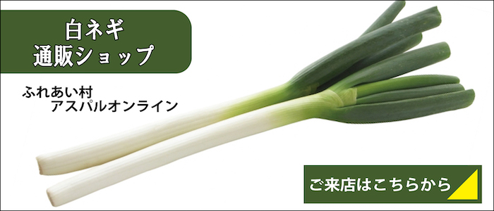 鳥取県産　白ネギ　28kg 　長ネギ